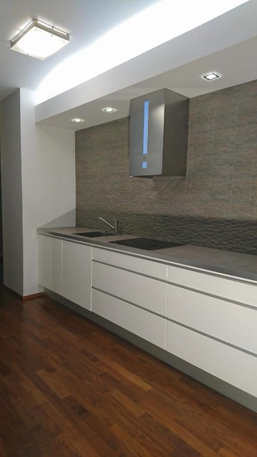 Quiet And Spacious Apartment With Garage Option Cracóvia Exterior foto
